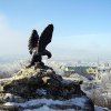 Орел пятигорский